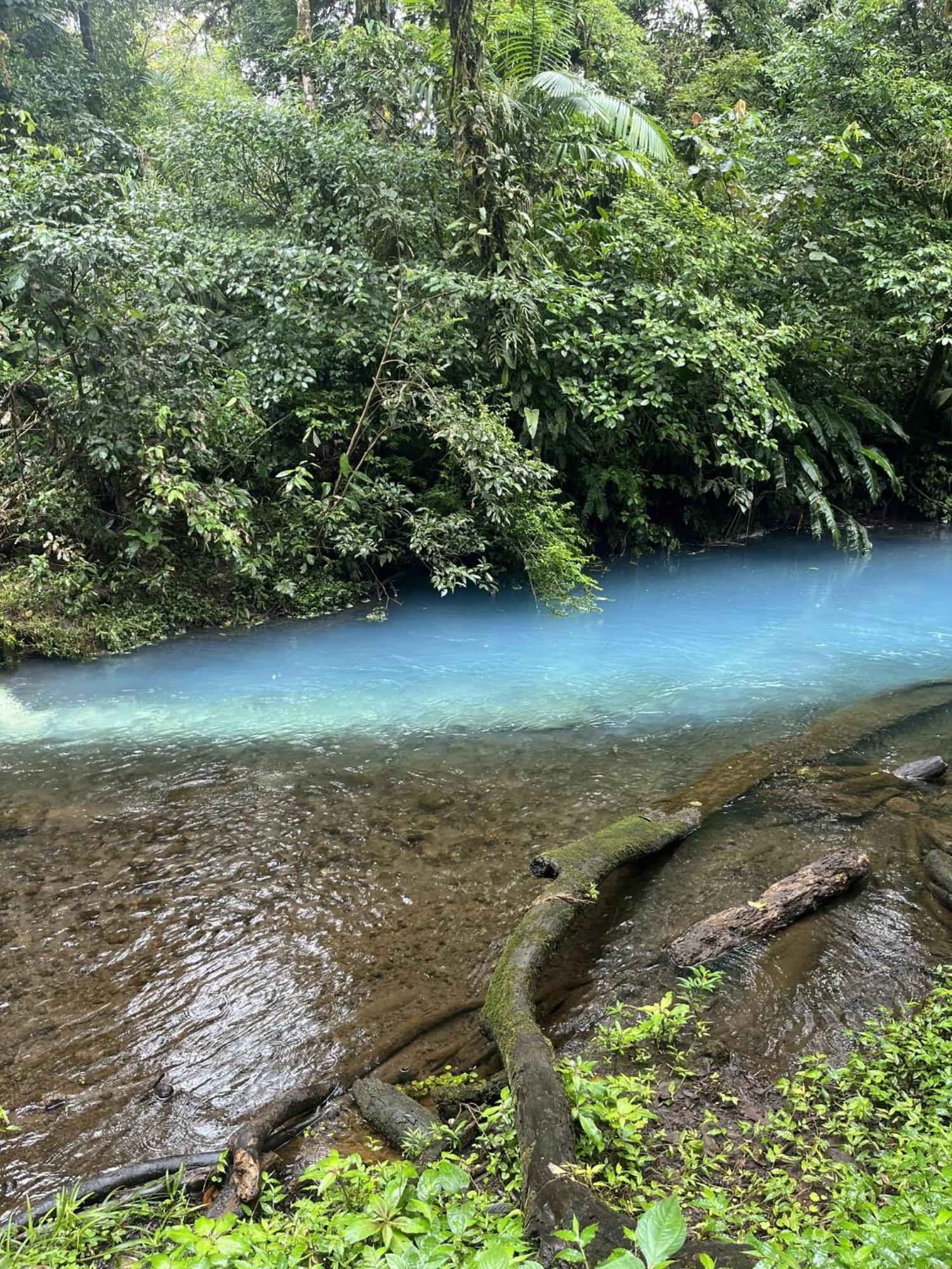 Kakao Lodge & Garden Rio Celeste Bijagua Ngoại thất bức ảnh